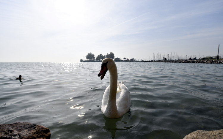 A balatoni komp péntektől a tavaszi menetrend szerint jár