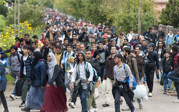 Illegális bevándorlás: vissza kell szerezni az ellenőrzést a határok felett
