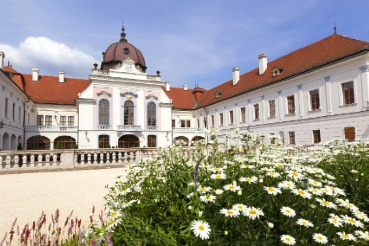 Gödöllőt szépíti a Jánosik Kft.